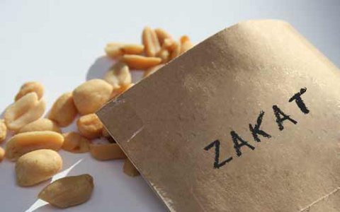Zakat Profesi