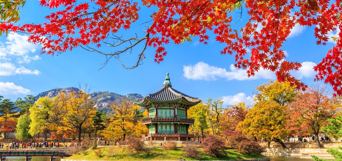 Kisah Dari Korea ( bag. 01)