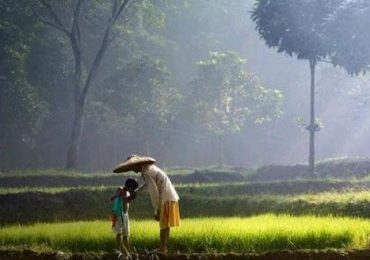 Kisah Bakti Anak Kepada Orangtua
