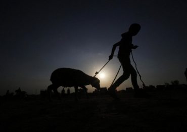 10 Kekuatan Tauhid Dibalik Idul Adha